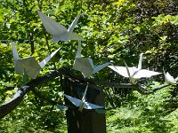 2017 MortonArboretum Oragami 0047 : Morton Arboritum