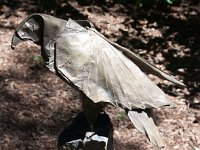 2017 MortonArboretum Oragami 0066 : Morton Arboritum