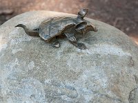 2017 MortonArboretum Oragami 0067 : Morton Arboritum