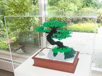 MortonArb Legos Bonsi-2 : Morton Arboritum