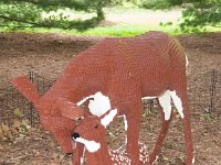 MortonArb Legos Deer : Morton Arboritum