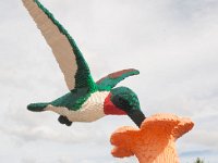 MortonArb Legos Hummingbird-3 : Morton Arboritum