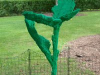 MortonArb Legos Seed : Morton Arboritum