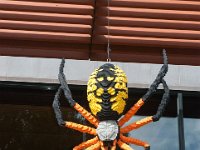MortonArb Legos Spider-1 : Morton Arboritum