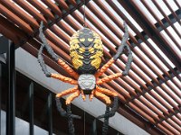 MortonArb Legos Spider-2 : Morton Arboritum