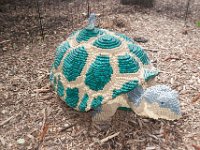 MortonArb Legos TortiseBird : Morton Arboritum
