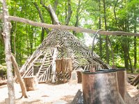 2019 MortonArbTrolls House-2 : Morton Arboritum
