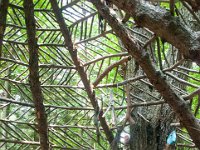 2019 MortonArbTrolls House-3 : Morton Arboritum