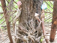 2019 MortonArbTrolls House-5 : Morton Arboritum