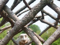 2019 MortonArboretumTrolls  0008 : Morton Arboritum