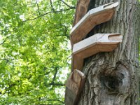 2019 MortonArboretumTrolls  0023 : Morton Arboritum