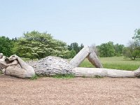 2019 MortonArboretumTrolls  0031 : Morton Arboritum