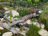 Cantigny-06 : Cantigny