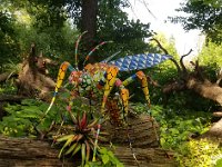 Cantigny MonumentAlebrijes -28 : Cantigny