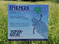2022 Morton EPHEMERA01 : Morton Arboritum, 2022 - Morton Arberutum Human Nature