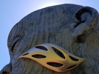 2022 Morton HEARTWOOD06 : Morton Arboritum, 2022 - Morton Arberutum Human Nature