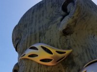 2022 Morton HEARTWOOD07 : Morton Arboritum, 2022 - Morton Arberutum Human Nature