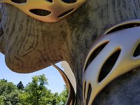 2022 Morton HEARTWOOD08 : Morton Arboritum, 2022 - Morton Arberutum Human Nature
