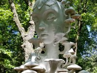 2022 Morton MYCELIA04 : Morton Arboritum, 2022 - Morton Arberutum Human Nature