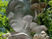 2022 Morton MYCELIA05 : Morton Arboritum, 2022 - Morton Arberutum Human Nature