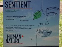 2022 Morton SENTIENT01 : Morton Arboritum, 2022 - Morton Arberutum Human Nature