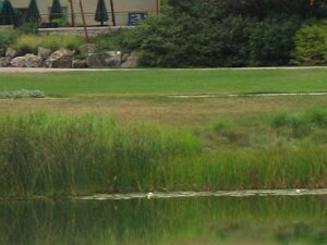 2012 Morton Arboretum Houses