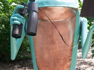 2016 Morton Arboretum Frogs