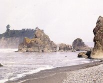 Coast - Sea Stack Ruby Beach