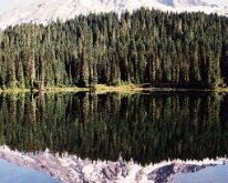 Rainier - Reflection Lake - A