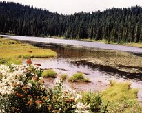 Rainier - Reflection Lake2