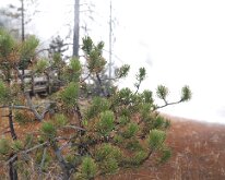 ArtistPaintPots_0002