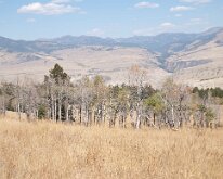 BeaverPondsHike_0003