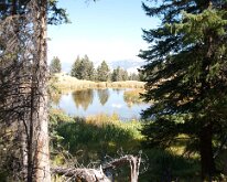 BeaverPondsHike_0004