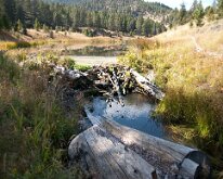 BeaverPondsHike_0007