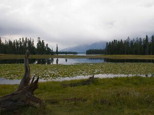 2008 - YellowstoneTetons