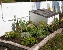 2009 - Labor Day_0018