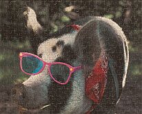 Eagleridge_2011_Pig1