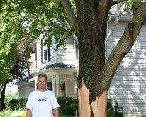 2011_TreeLightning-3