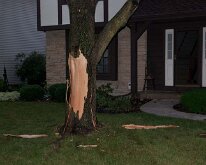 2011_TreeLightning-8