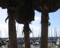 TelAvivIsrael_EricWork_2012-03