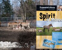 BrookfieldZoo_2012_0010