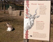 BrookfieldZoo_2012_0011
