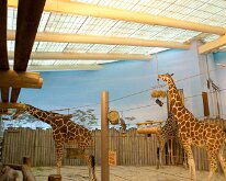 BrookfieldZoo_2012_0021