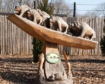 BrookfieldZoo_2012_0022