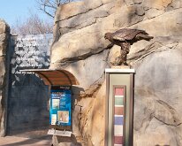 BrookfieldZoo_2012_0032