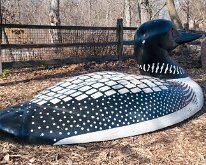 BrookfieldZoo_2012_0036