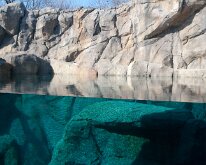 BrookfieldZoo_2012_0037
