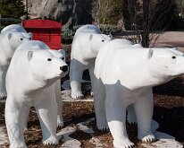BrookfieldZoo_2012_0040