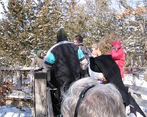 StarvedRock_2012-01-14_0003