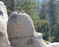 KingsCanyon_BuenaVistaTrail-14